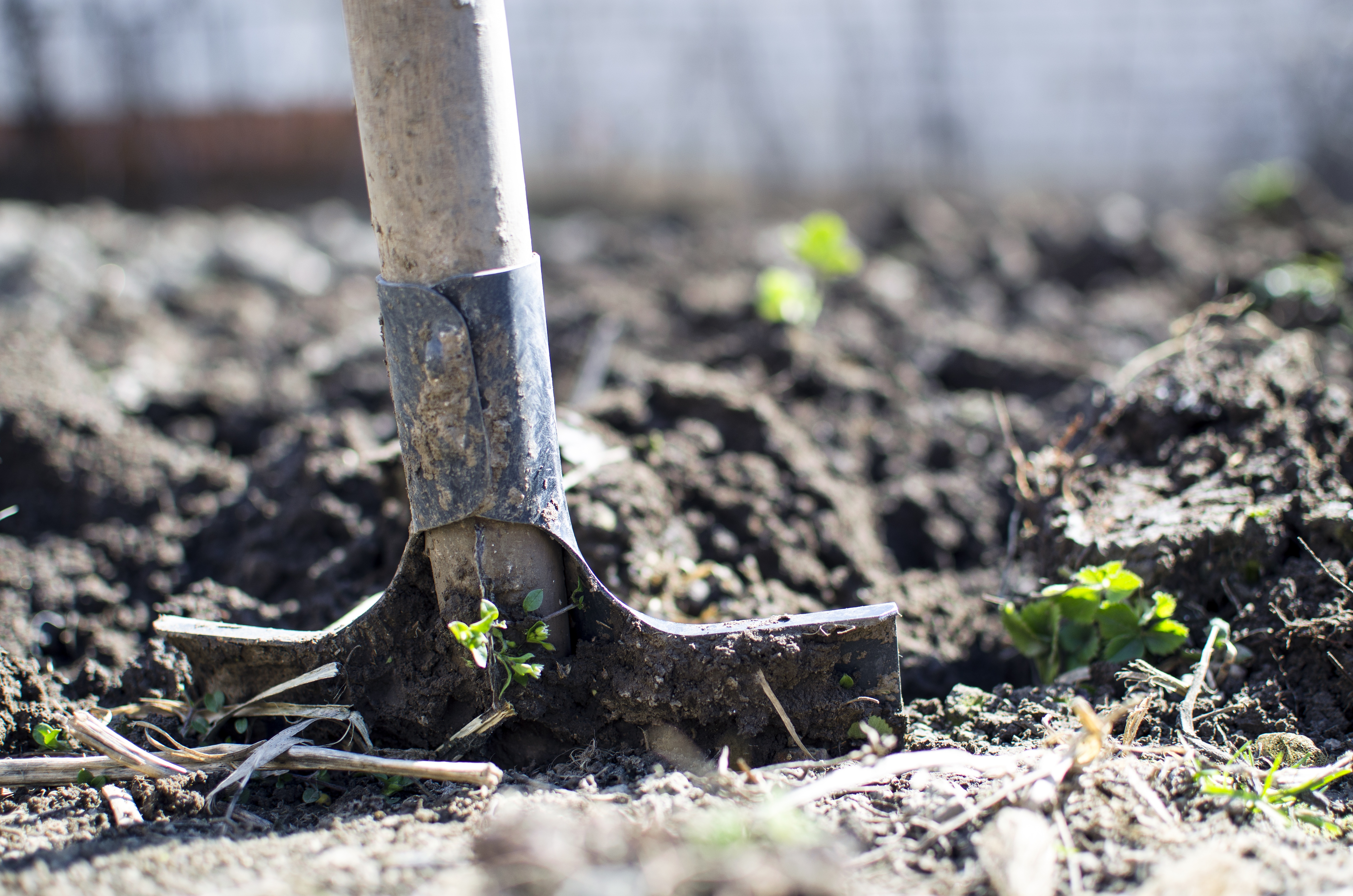 Canva - Equipment, Outdoors, Dirt, Dig, Farming, Garden, Nature.jpg